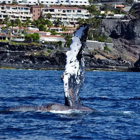 Apartament Jardin Puerto de Santiago (Tenerife)